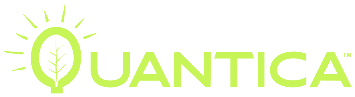 Quantica